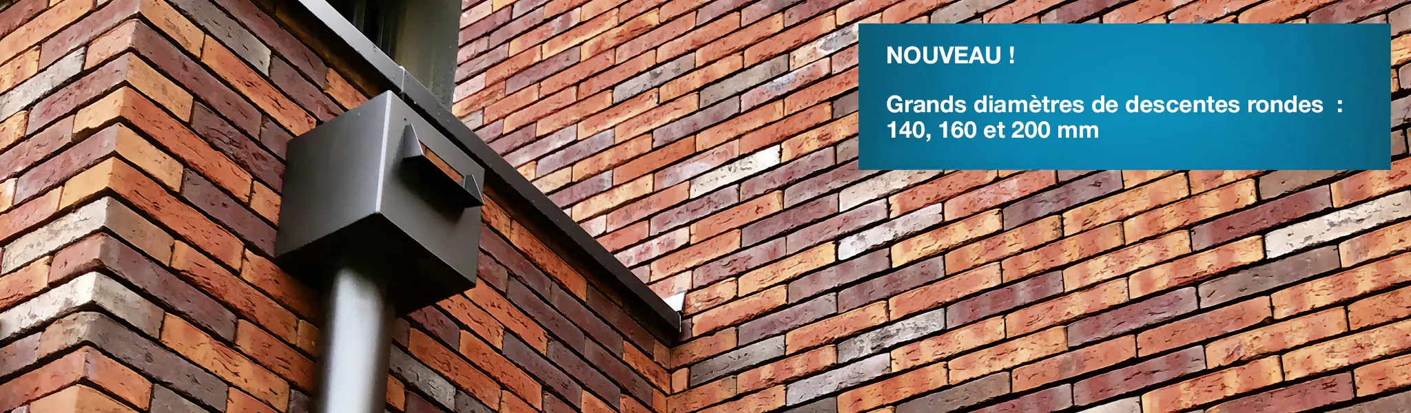 Aquadrop : Collecteur et descente d'eau pluviale en aluminium